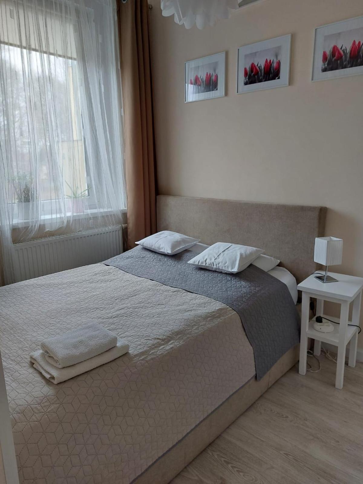Come&Stay Zielona Gora Luaran gambar